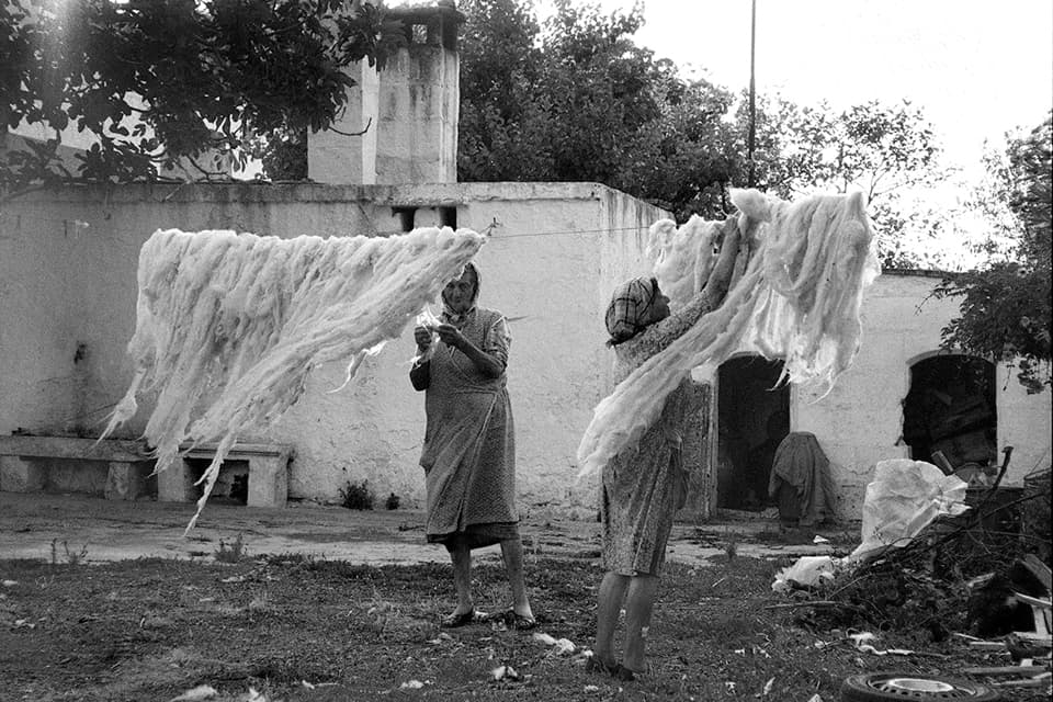 Wool in the wind