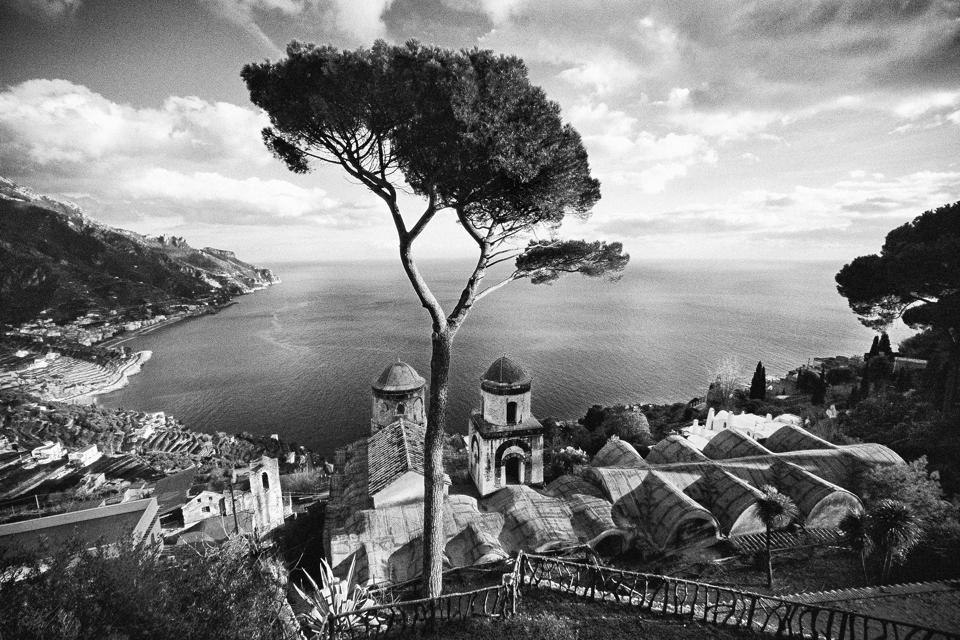 Ravello Pino