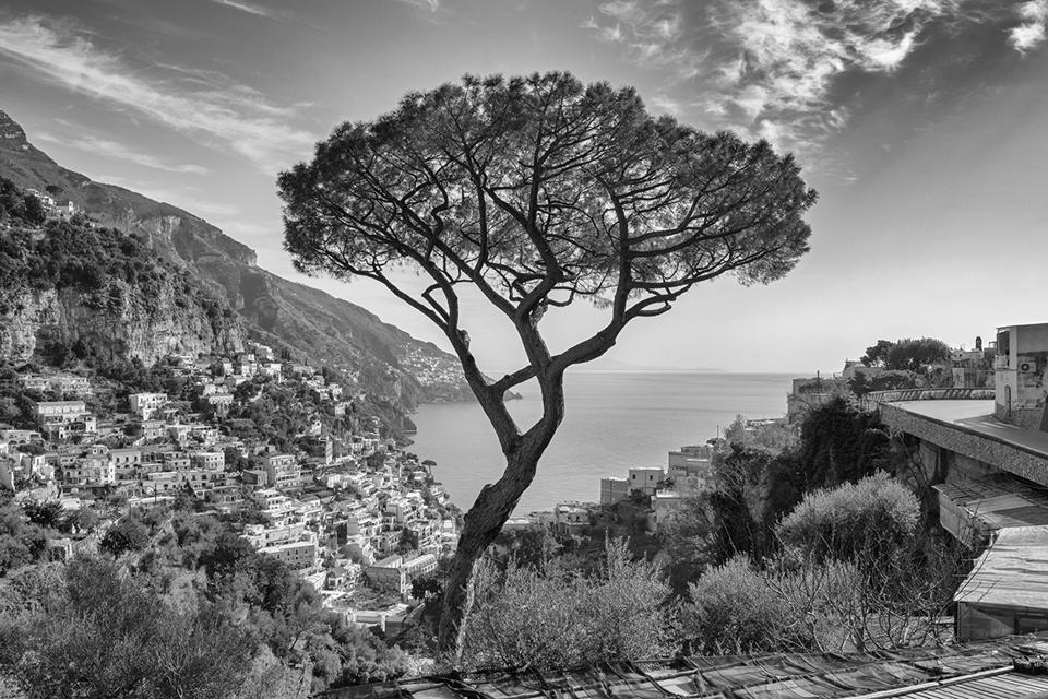 Positano - Pino