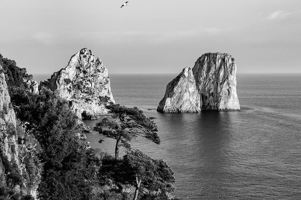 Capri - Faragioni 