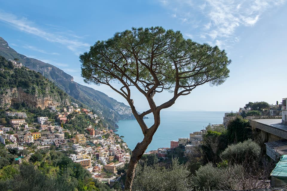 Positano Pino Colori